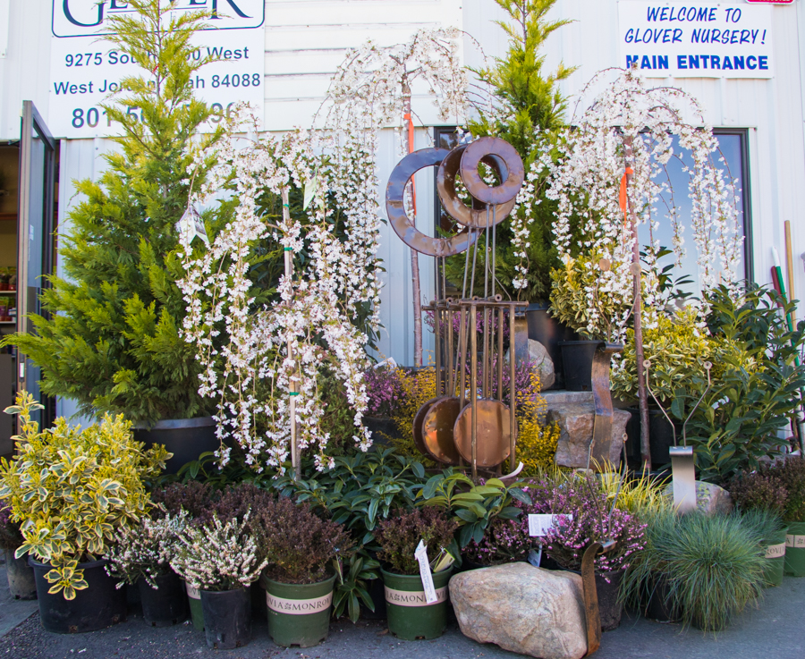 5u3a9349 Glover Nursery Contact Info