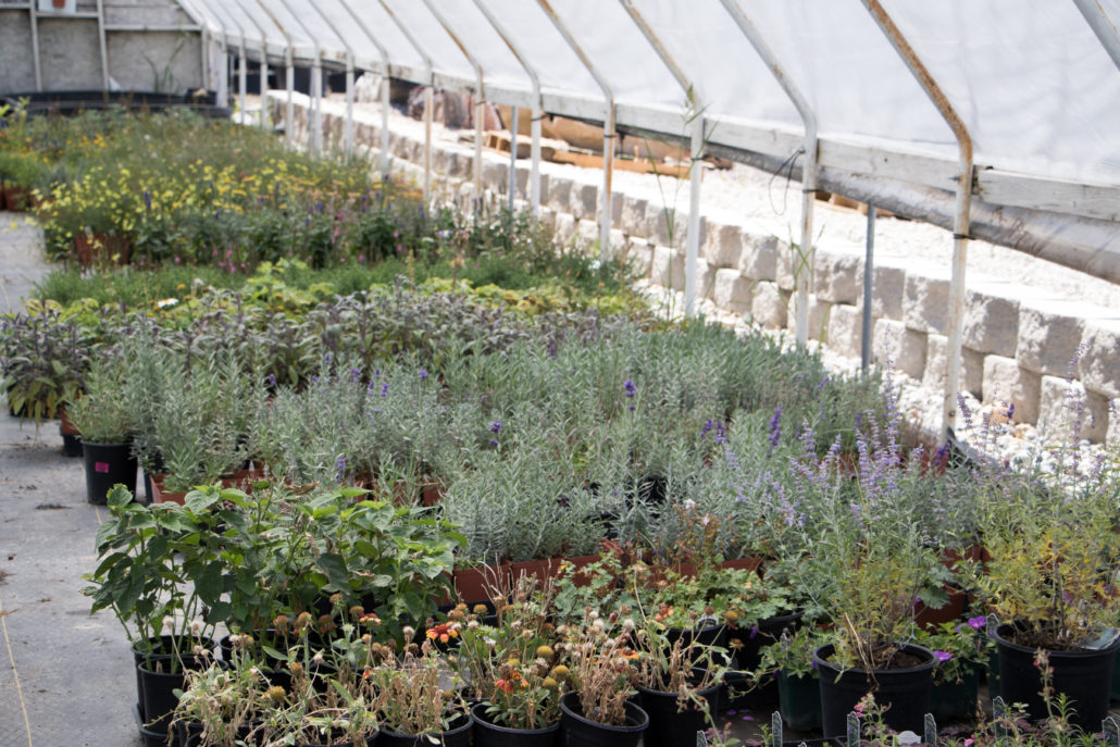 Employment Glover Nursery Glover Nursery